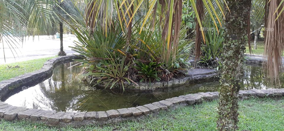 Jardim Botânico de Santos