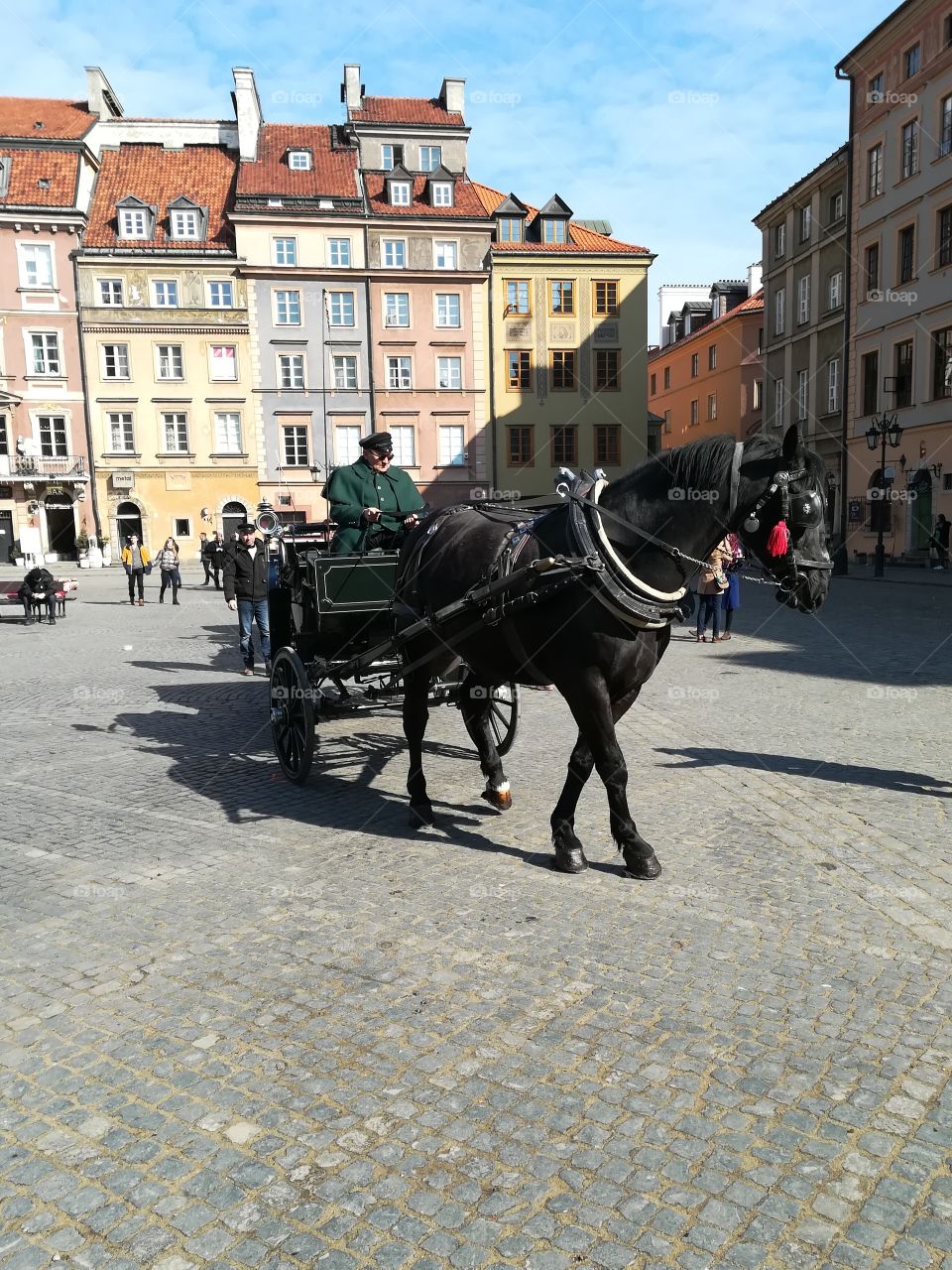 Horse cart