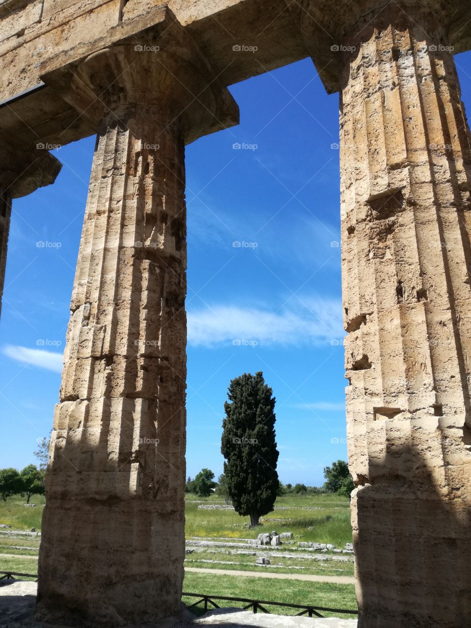 Paestum. View from the Temple