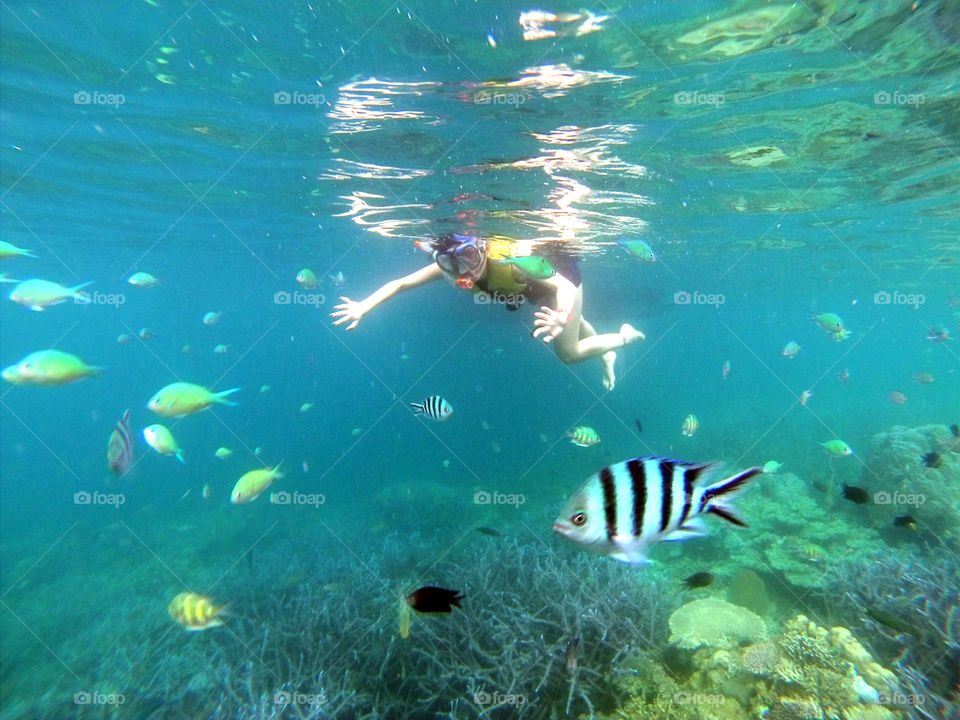 Girl swimming, snorkeling underwater, exploring the sea full of different kinds of fish looking at the camera
