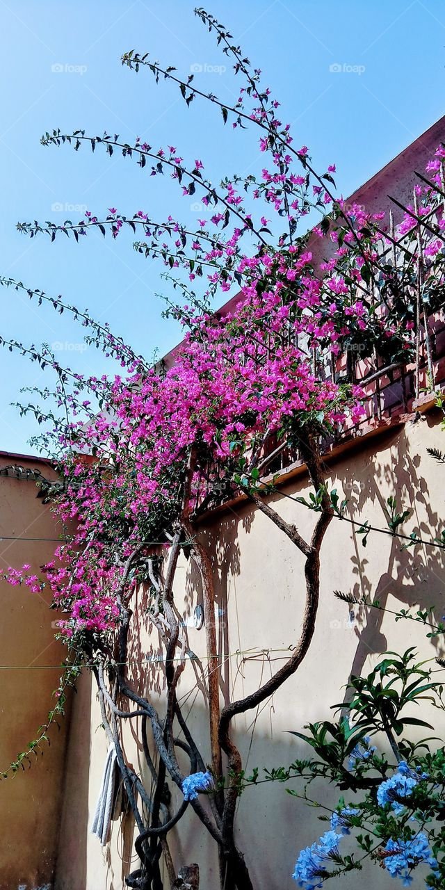 Singular and beautiful