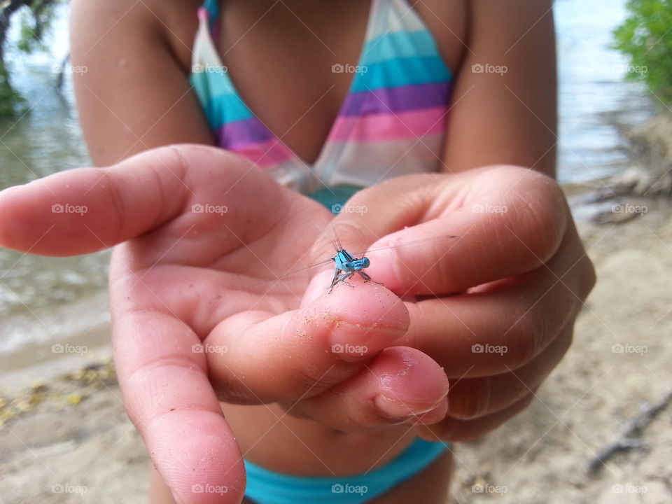 Dragonfly1. Catching a dragonfly is fun for little kids very and is very colorful