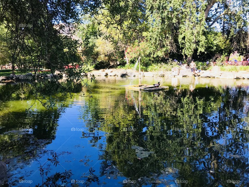 A beautiful place to unwind 