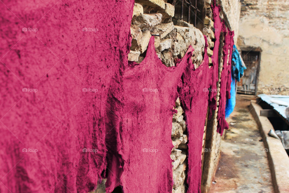 leather drying after dyeing in a tanning in Marocco