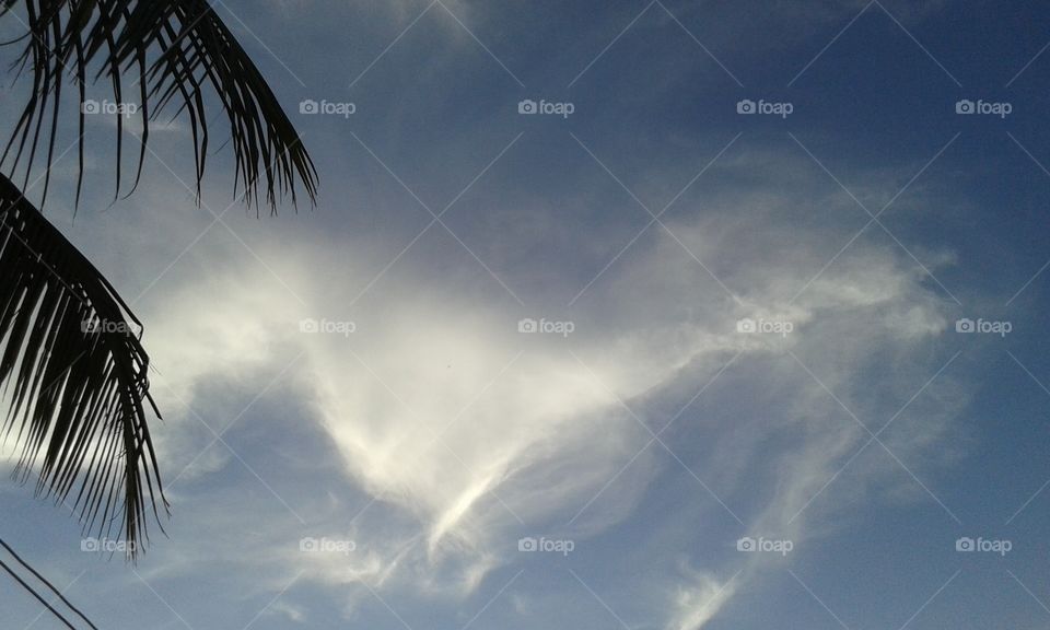 No Person, Sky, Outdoors, Sun, Heaven