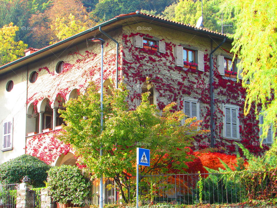 This is a tipical house in Italy with flowers on the walls