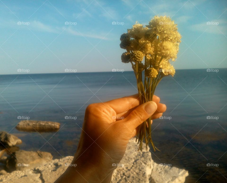 Beach, Water, People, Sea, Seashore