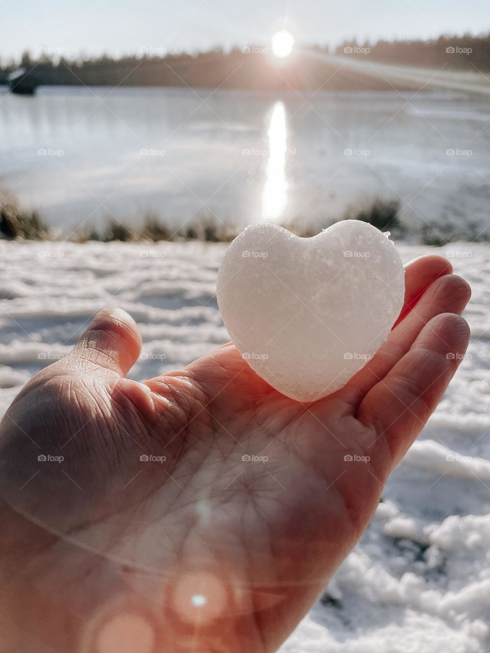 Winter heart 