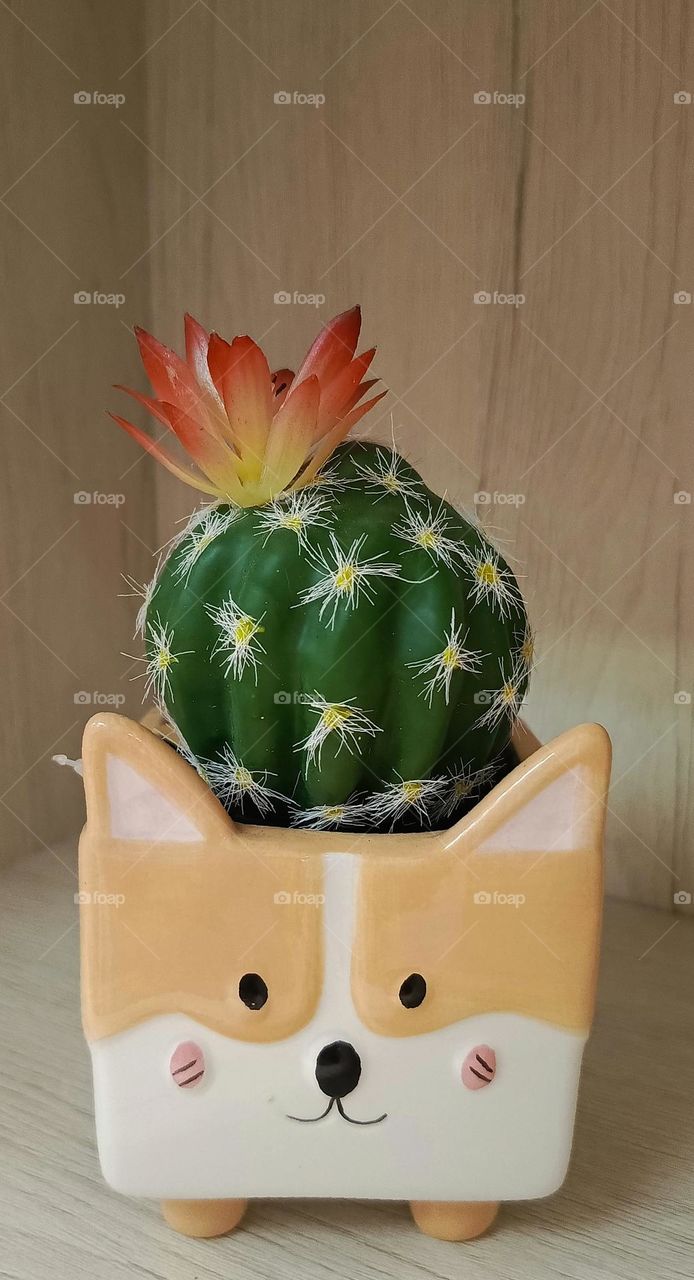 art pot at my open closet