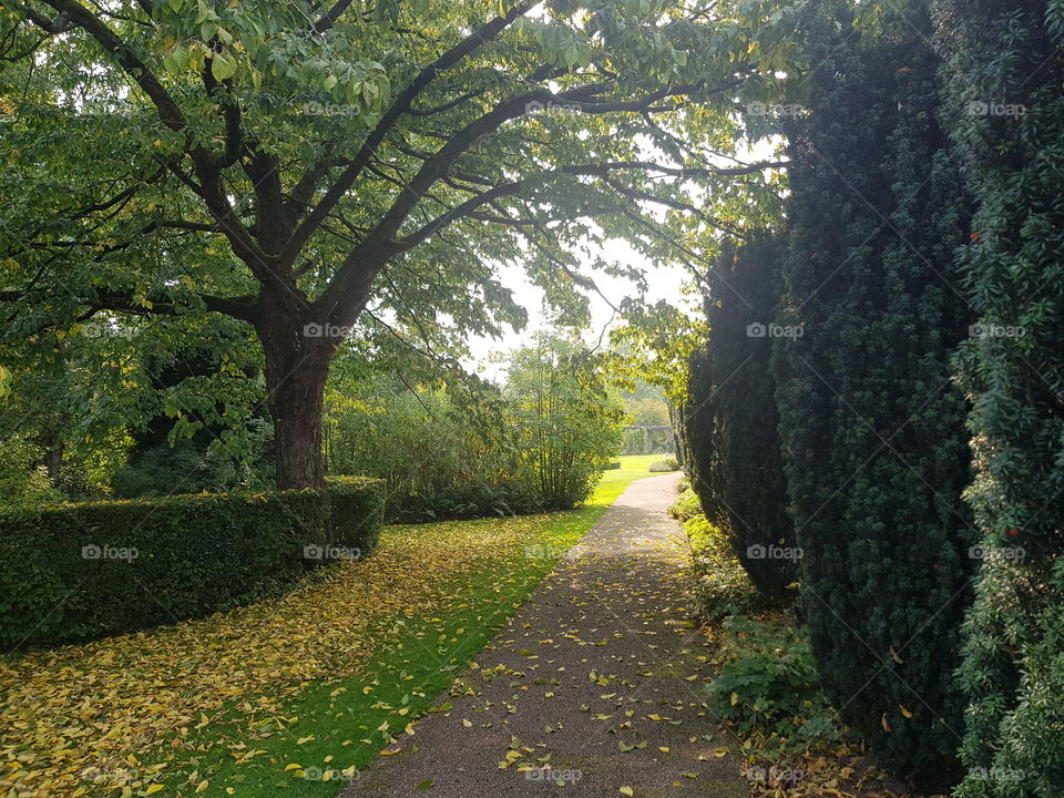 Winterbourne Gardens