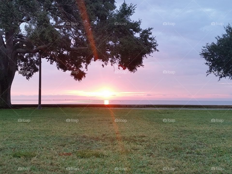 Sunrise over Tampa Bay