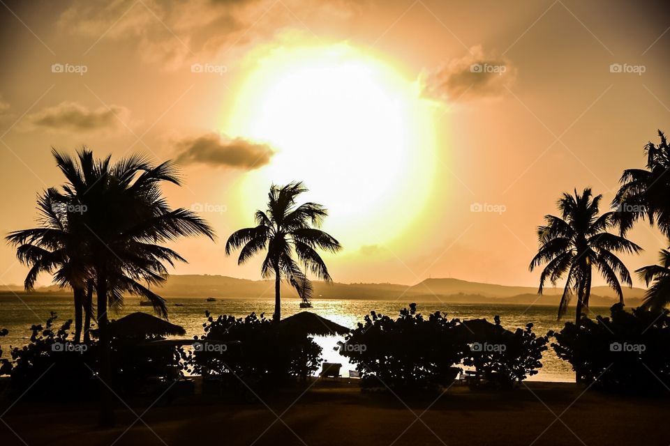 Sunset with silhouette palms