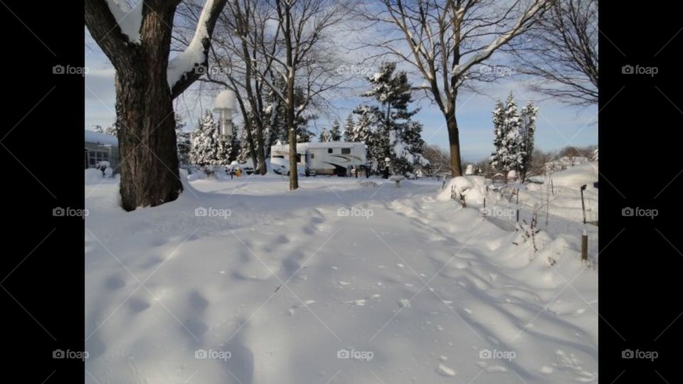 Snow Field 2
