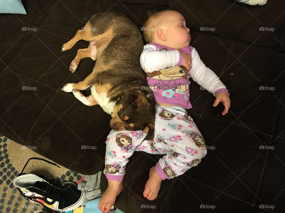 Child, People, Baby, Son, Portrait