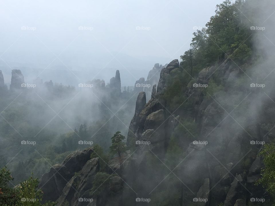 Foggy view into Elbe Sandstone Mountains 