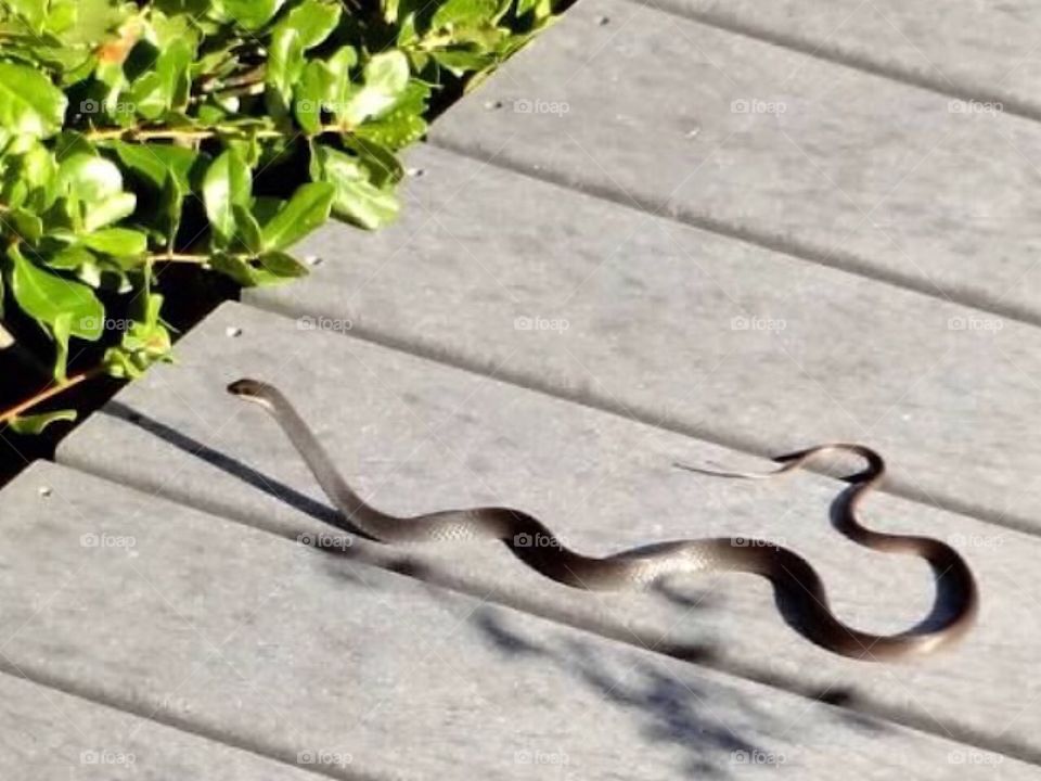 Just passing through 