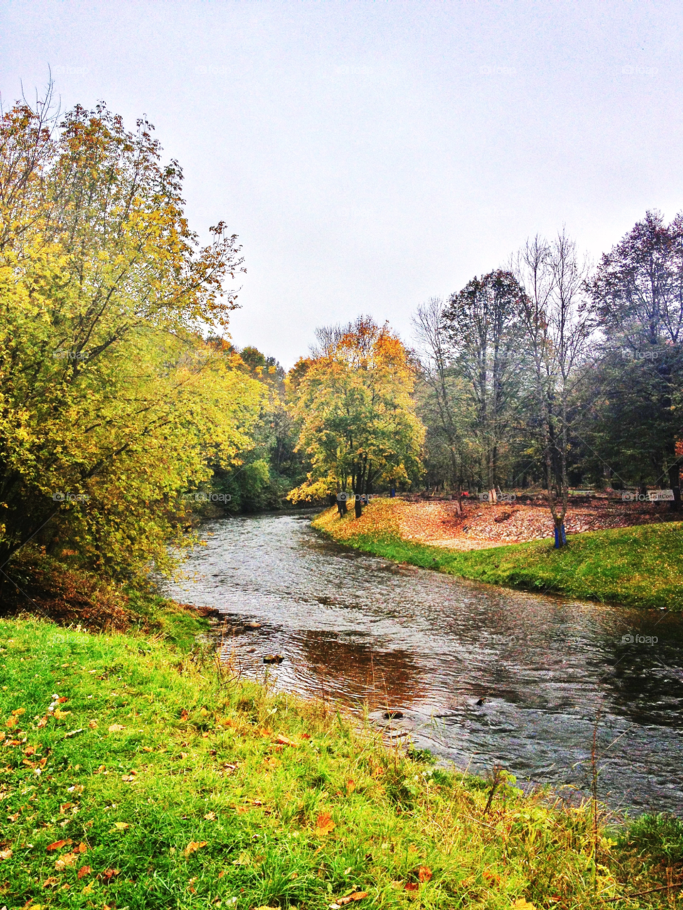 vilnius landscape nature grass by penguincody