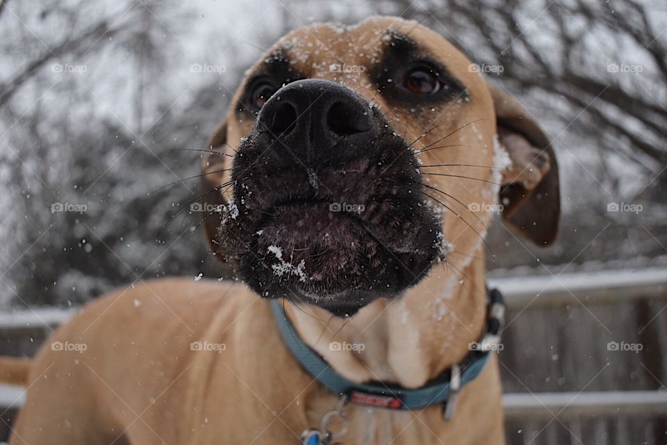 Showing how we spend winter with the ones we love, and super cute!