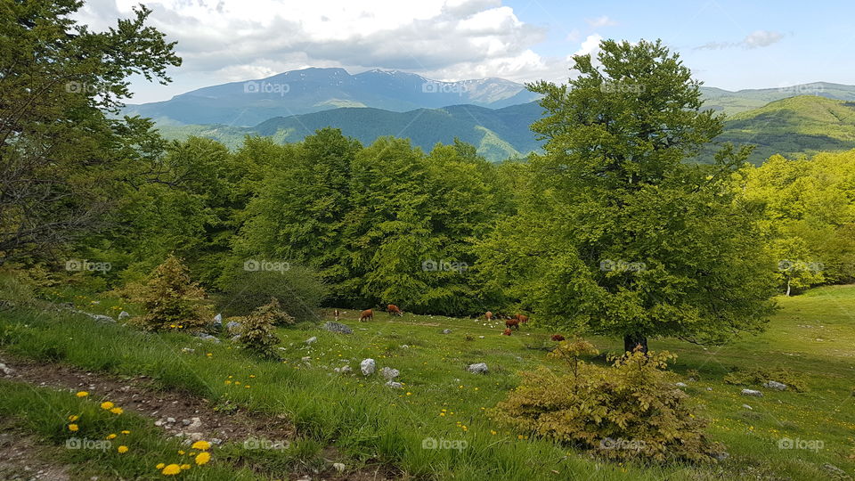 Bulgarian mountains.