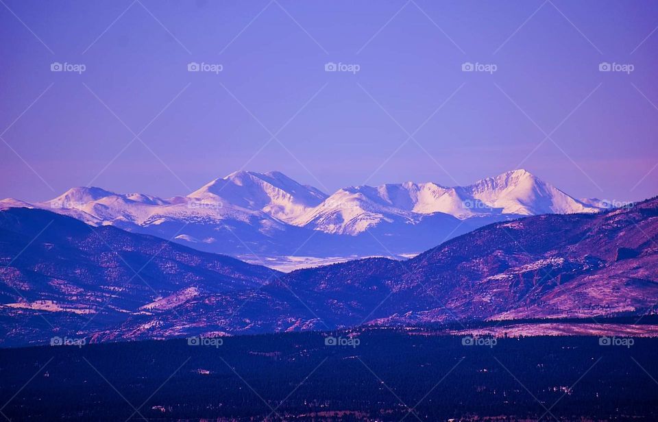 Purple Mountains Majesty