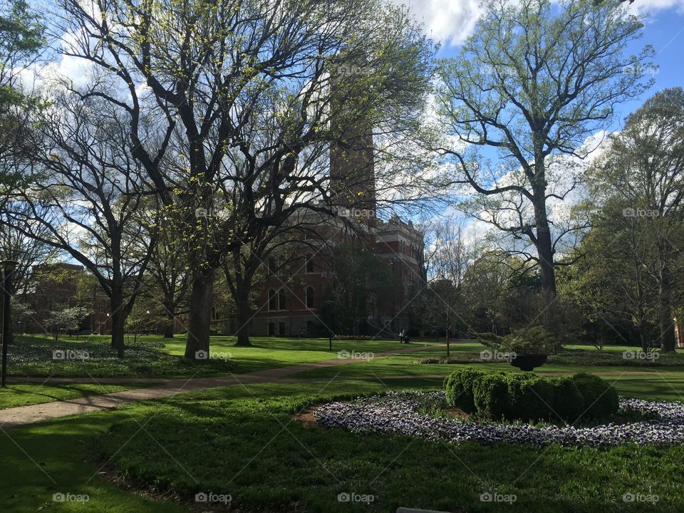 Vanderbilt university in Nashville 