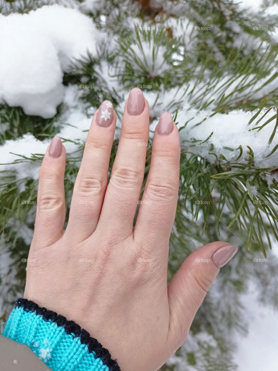 manicure on a female hand, spruce, snow on fir trees, snow on trees, coniferous tree, winter, snow, december, manicure, color "coffee with milk"