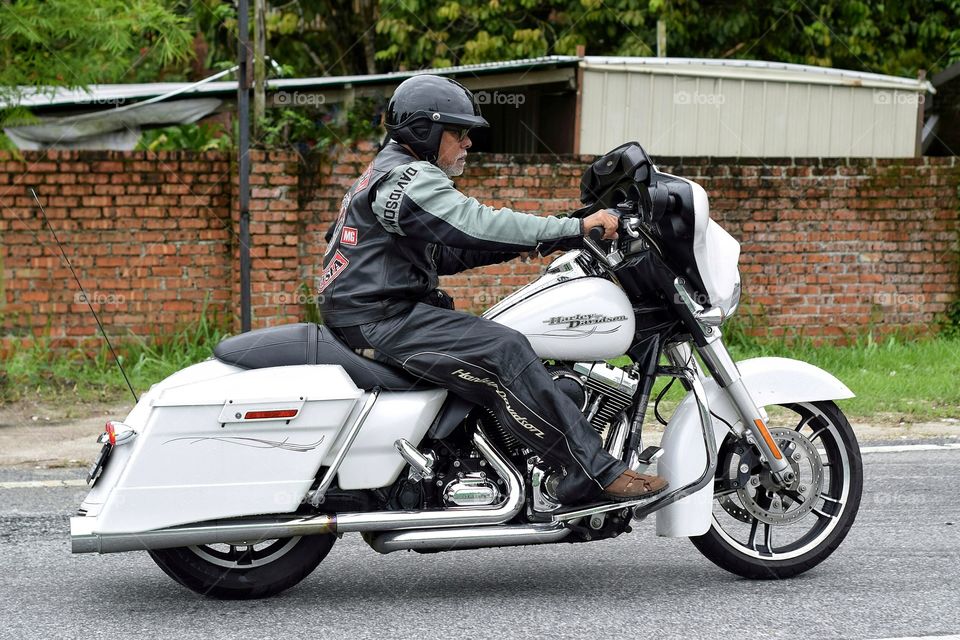 White Harley Davidson