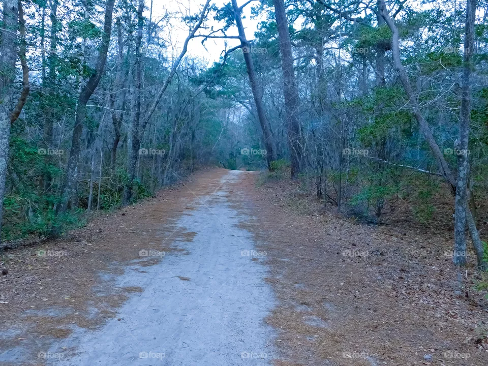 Off the beaten path