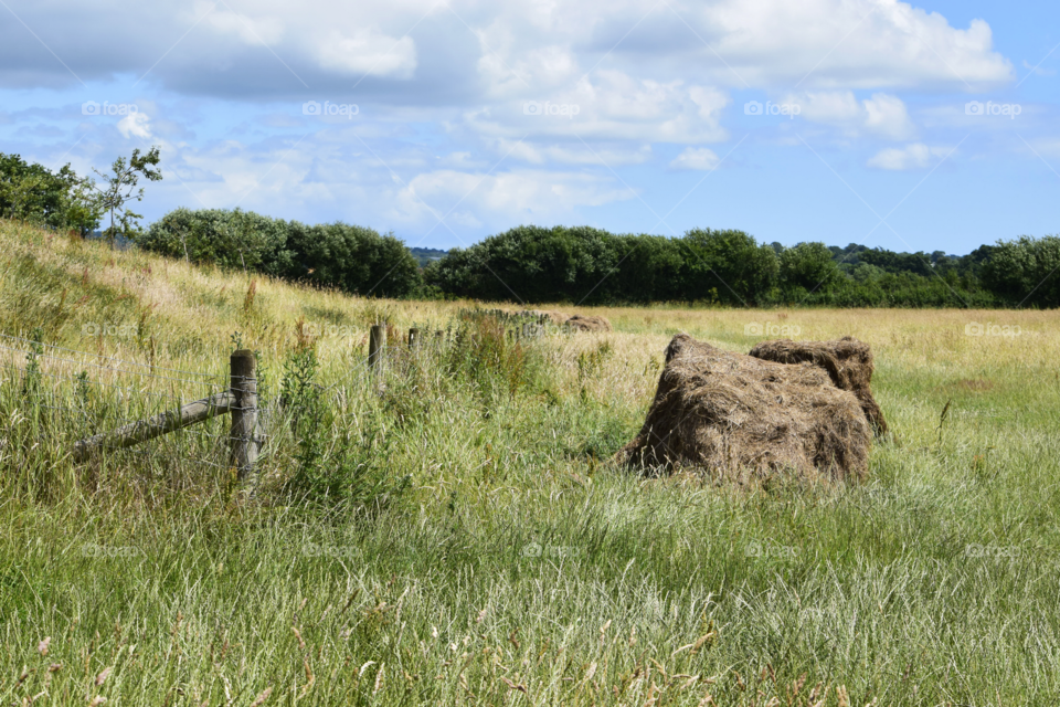 hay bale on side of a field in summer