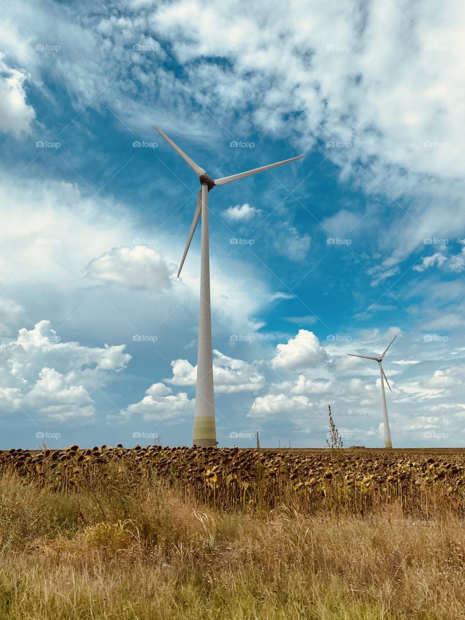 the wind among the clouds