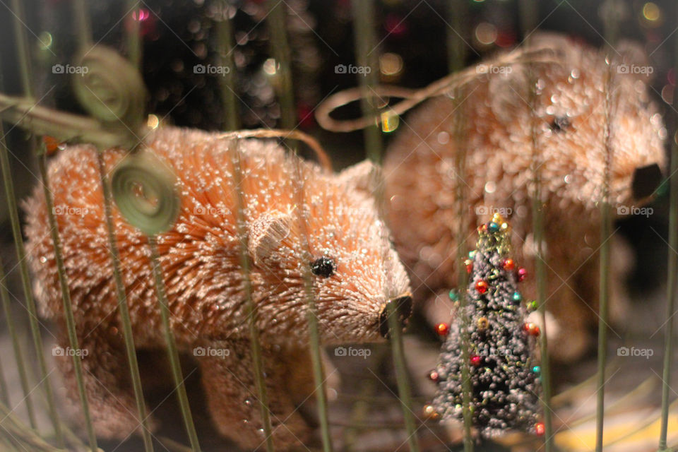 Christmastree bears