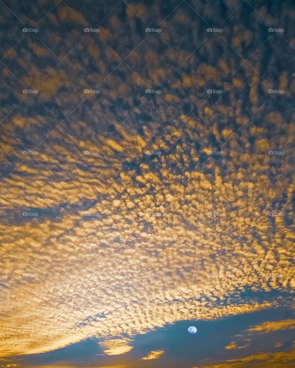 the moon never begs for attention.