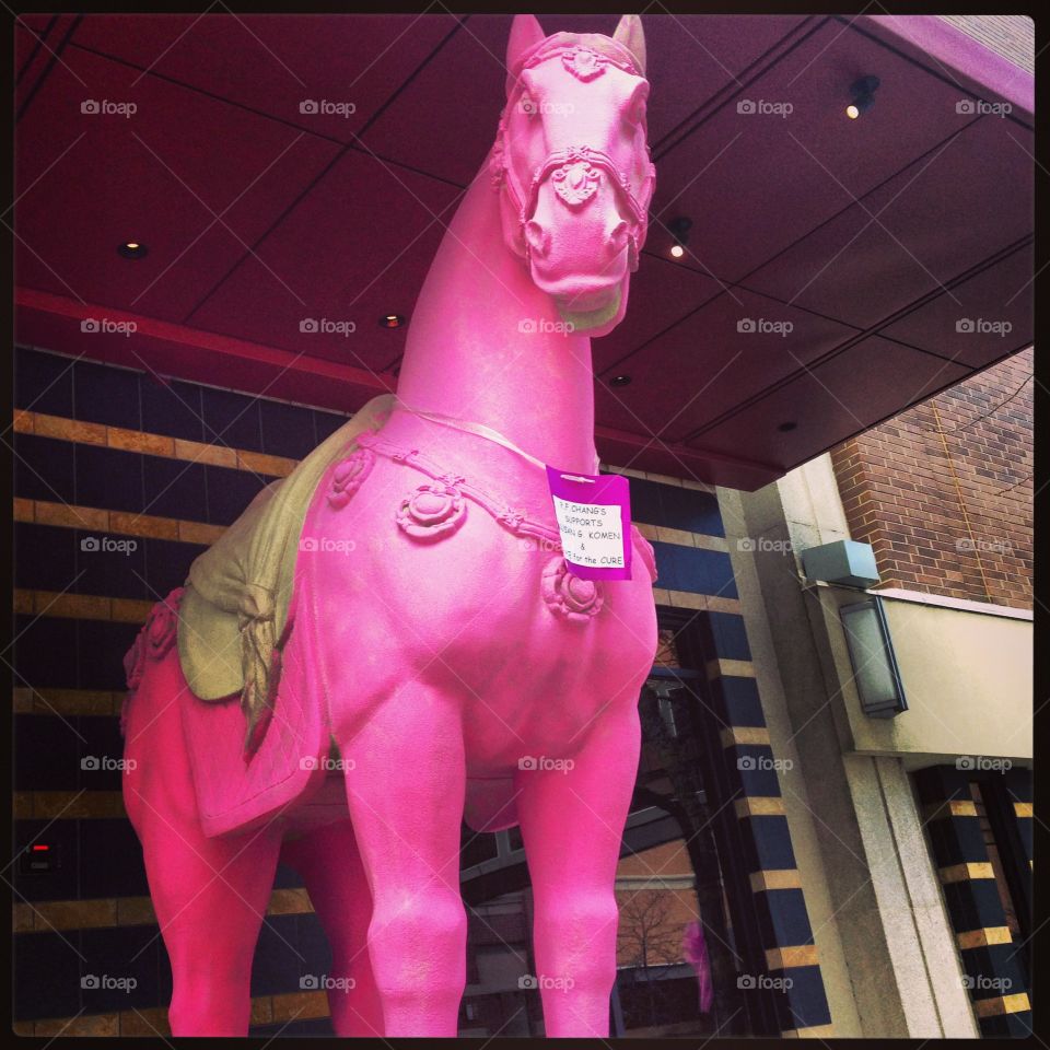 Pink horse