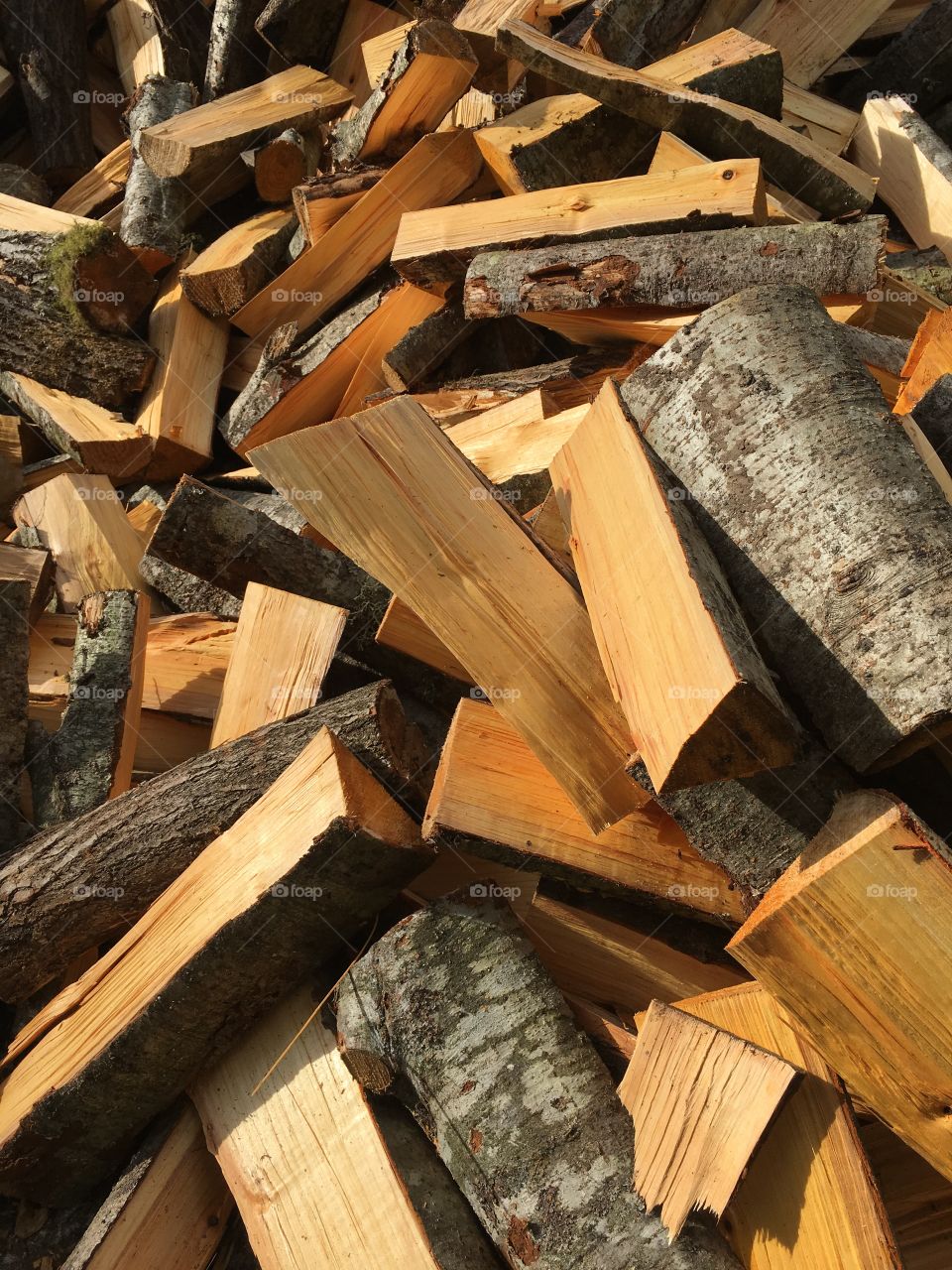 Log, Wood, Firewood, Tree Log, No Person