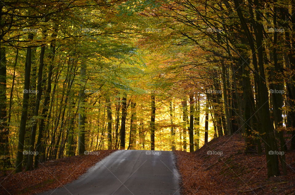 Light in the end of the tunnel 

Autumn is here!