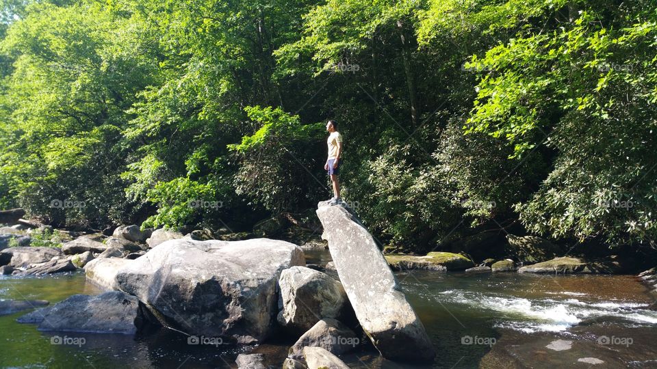 The Observer on a Rock, Gorges State Park, NC