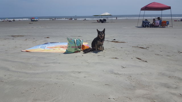 Our Happy Place