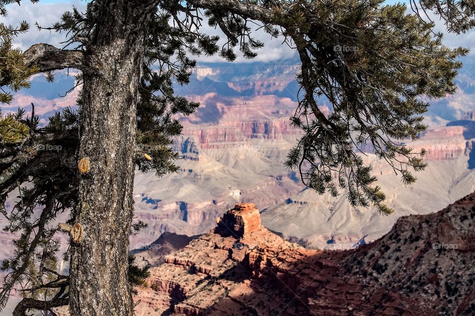 Grand canyon from above