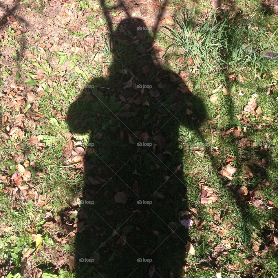 My Shadow 