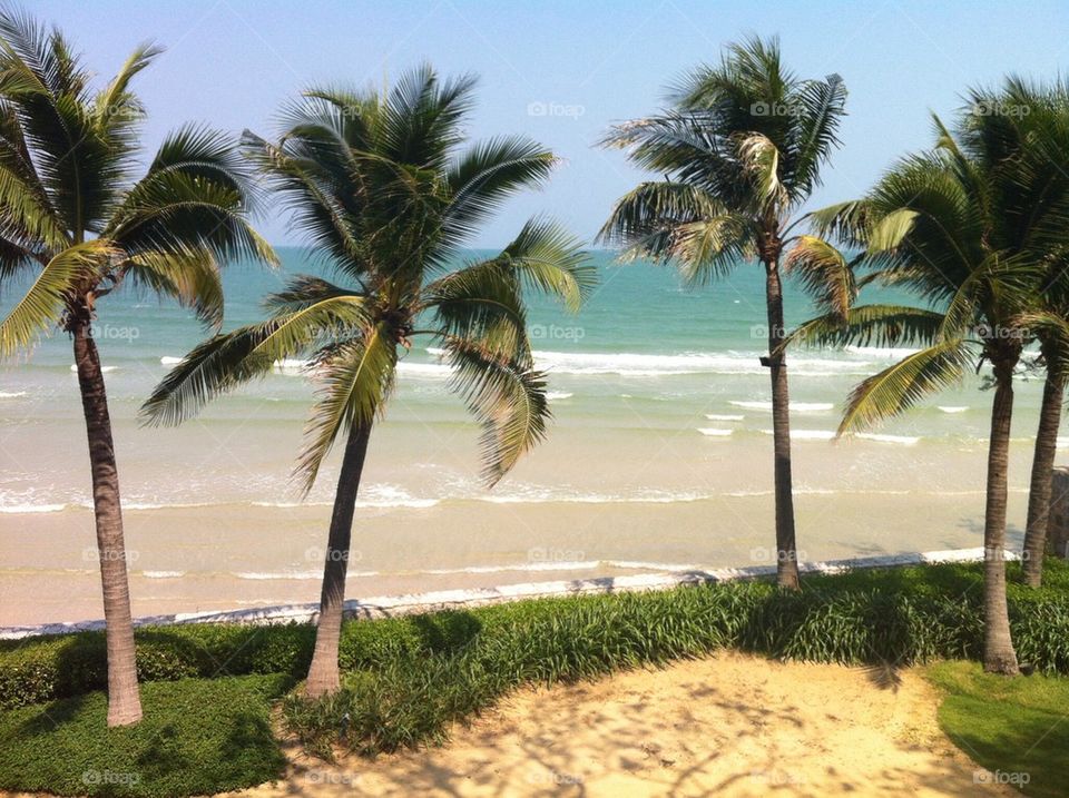 beach ocean grass sand by anetteaventyr