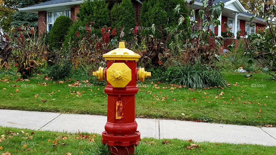 colour stories yellow