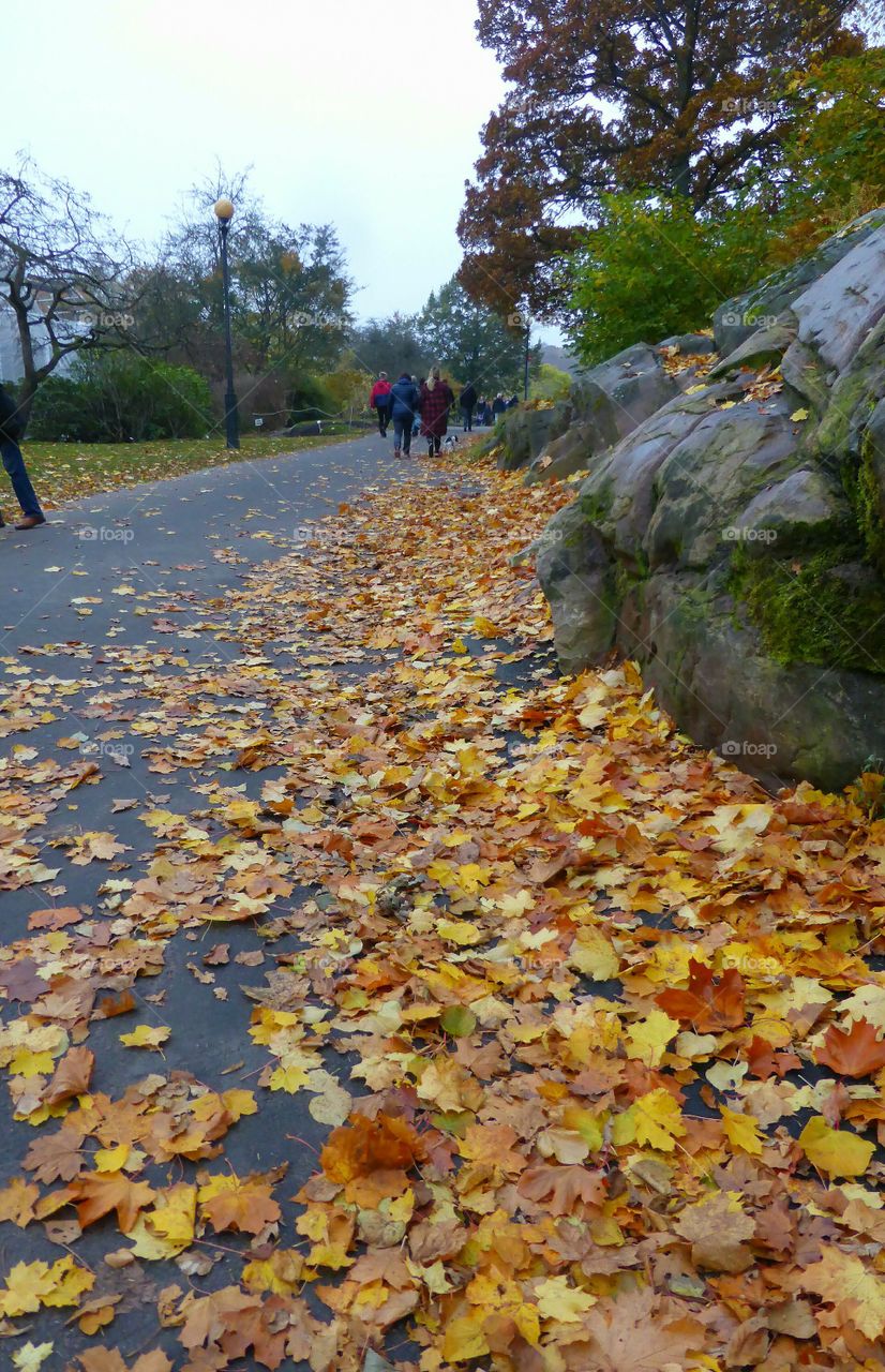 Walking in a parc in fall season 