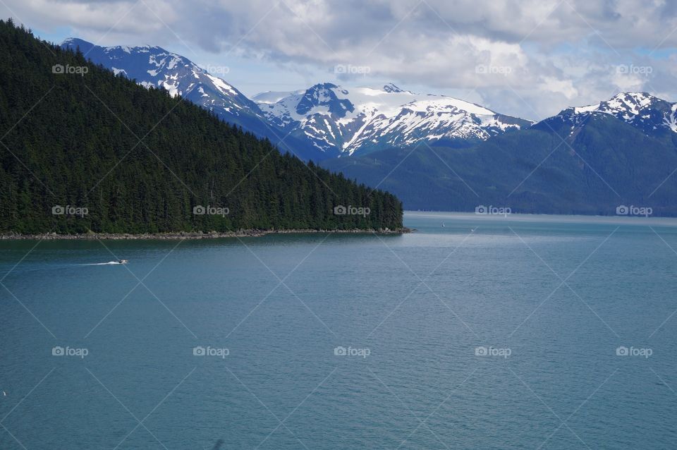 Forest, mountains and the sea