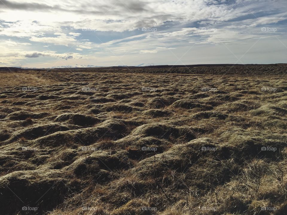 Rough grassy landscape in Iceland