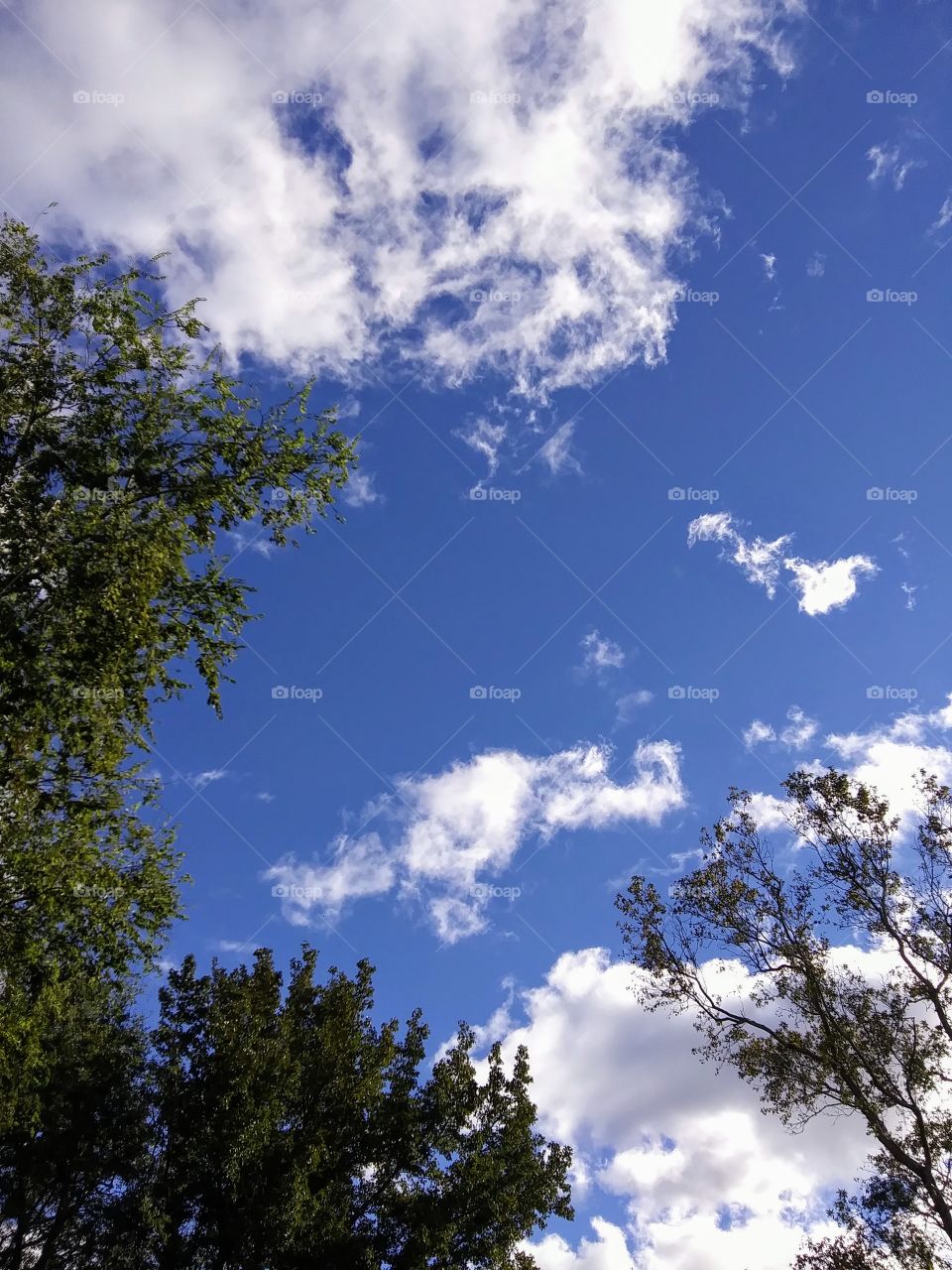 afternoon sky with clouds
