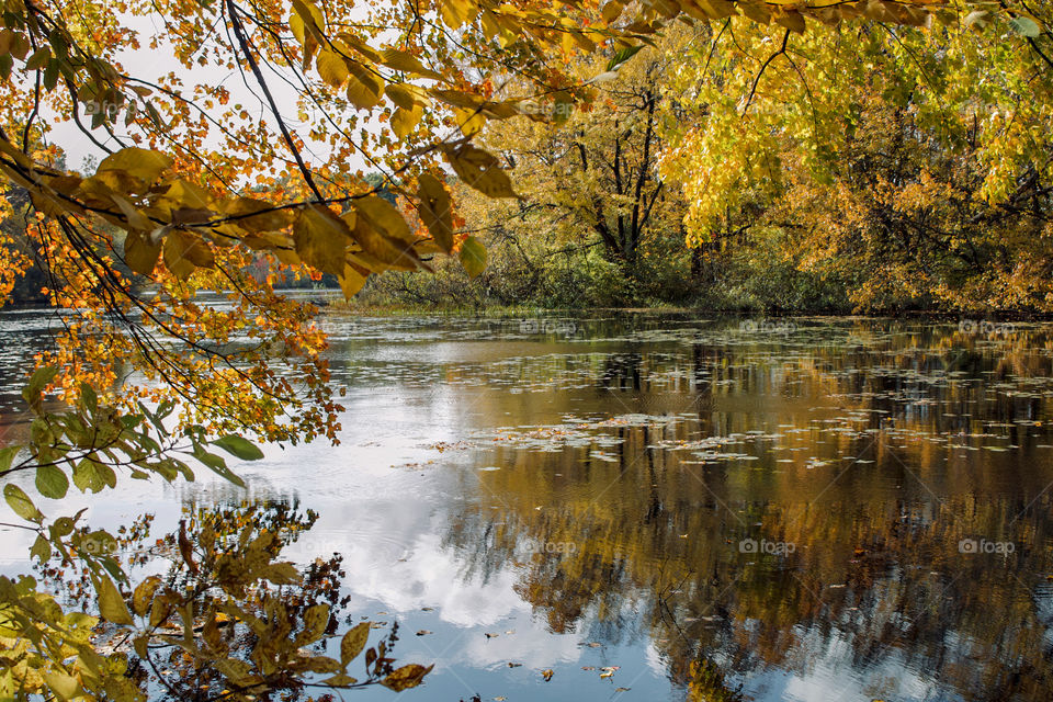 Autumn colors