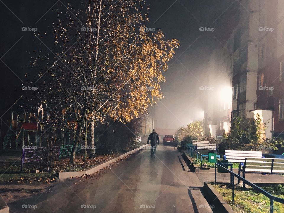 Foggy fall night