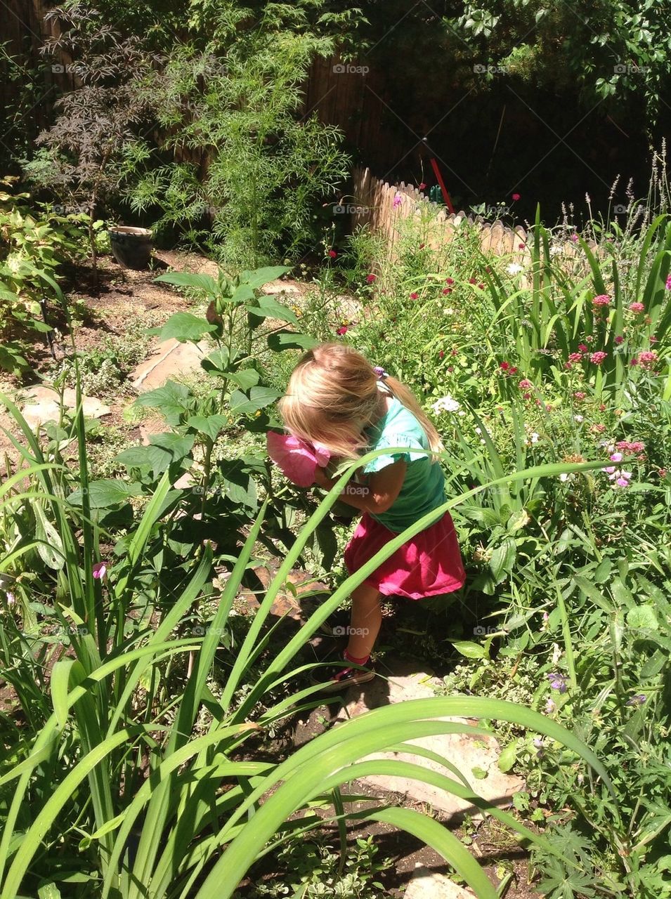 Child stopped to smell flower 