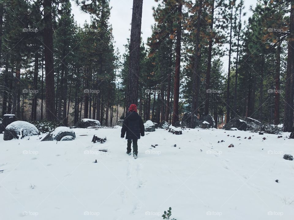 Snow, Winter, Cold, Mountain, Landscape