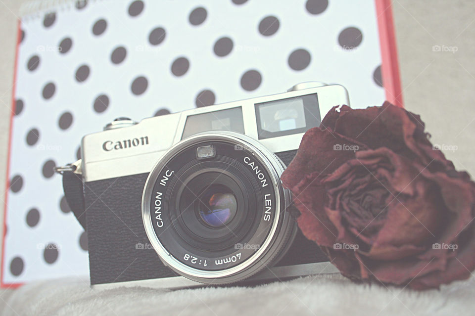 Canonet 28 with rose & dots.